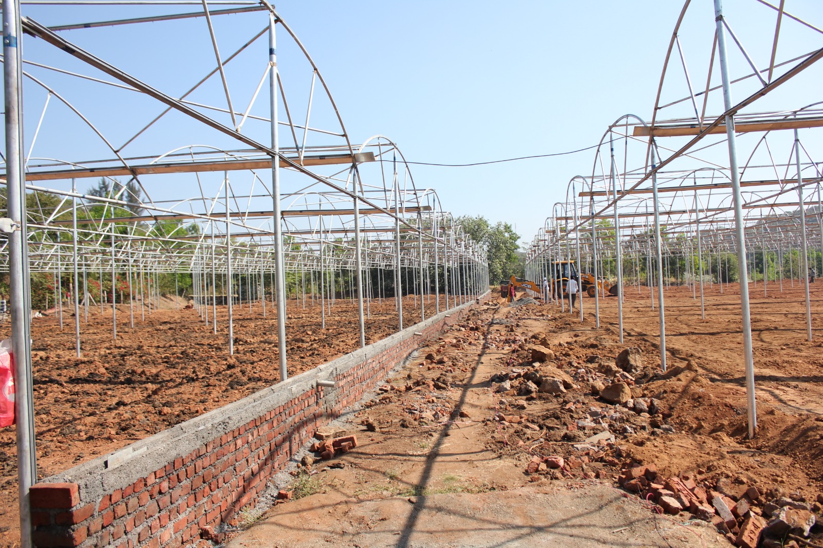 Greenhouse Project 17